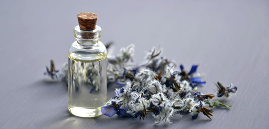 Amazing Benefits Of Using Perfumes And Fragrances