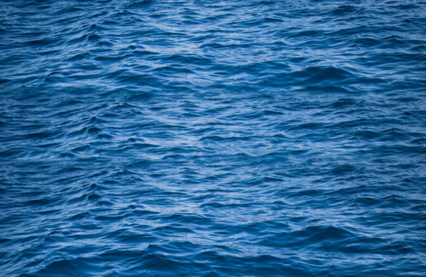 Aquatic Perfumes